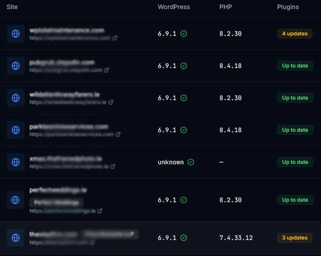 WordPress Update Monitoring from our custom dashboard